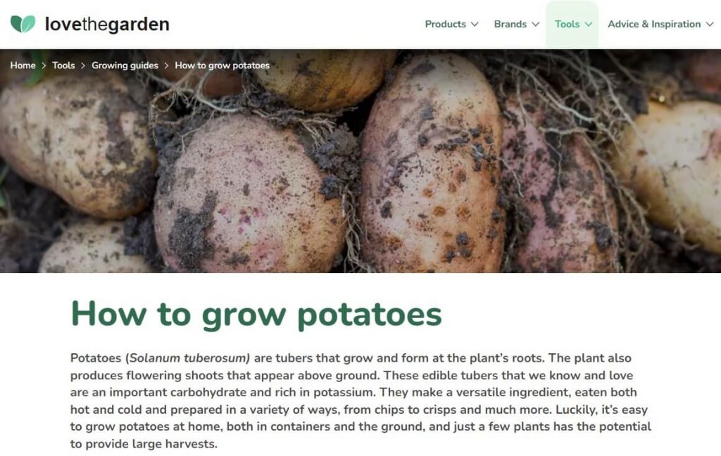 blog su come coltivare le patate